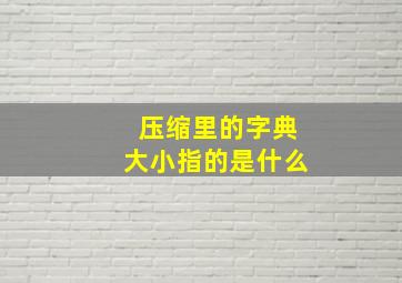 压缩里的字典大小指的是什么