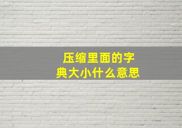 压缩里面的字典大小什么意思