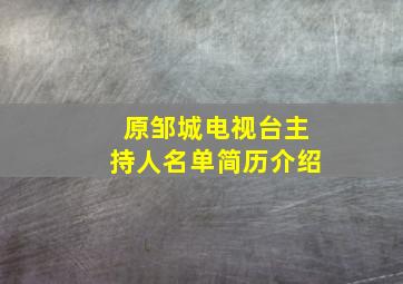 原邹城电视台主持人名单简历介绍