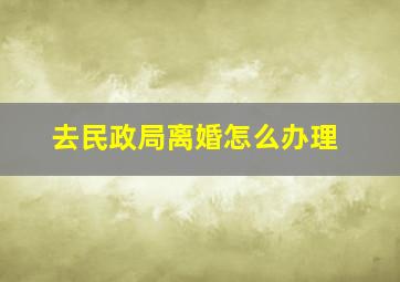 去民政局离婚怎么办理