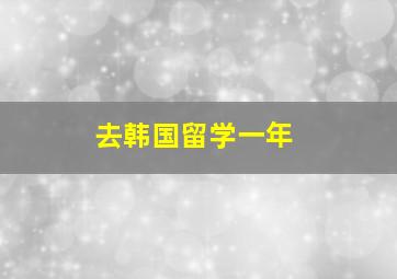 去韩国留学一年