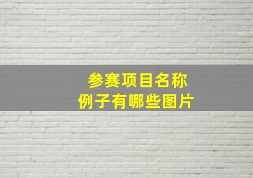 参赛项目名称例子有哪些图片