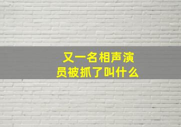 又一名相声演员被抓了叫什么