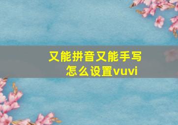 又能拼音又能手写怎么设置vuvi