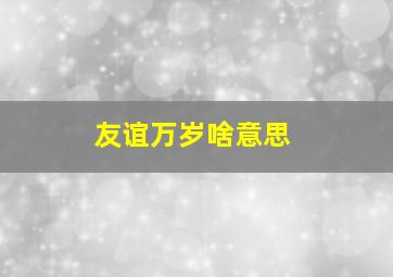 友谊万岁啥意思