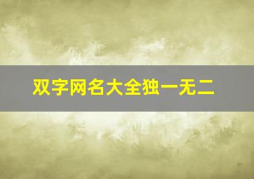 双字网名大全独一无二