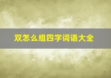 双怎么组四字词语大全