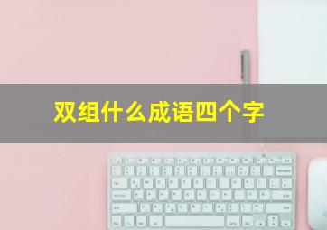 双组什么成语四个字