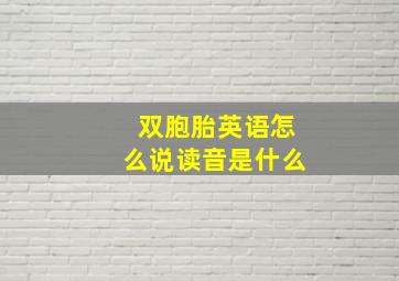 双胞胎英语怎么说读音是什么