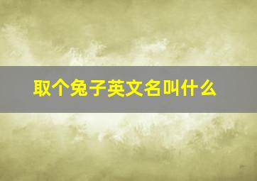 取个兔子英文名叫什么