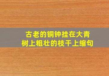 古老的铜钟挂在大青树上粗壮的枝干上缩句