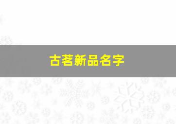 古茗新品名字