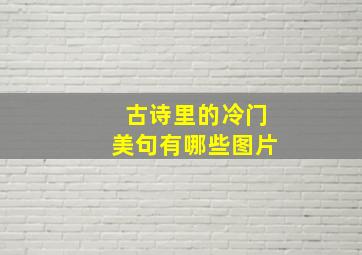 古诗里的冷门美句有哪些图片