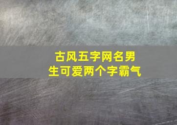 古风五字网名男生可爱两个字霸气