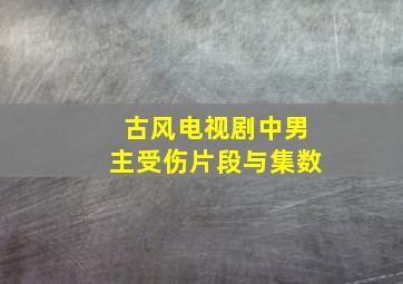 古风电视剧中男主受伤片段与集数