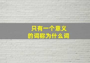 只有一个意义的词称为什么词