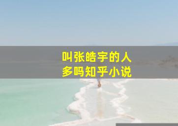 叫张皓宇的人多吗知乎小说