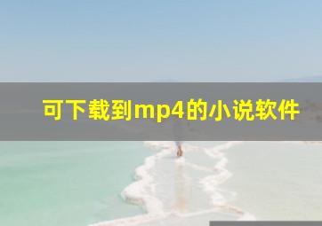 可下载到mp4的小说软件