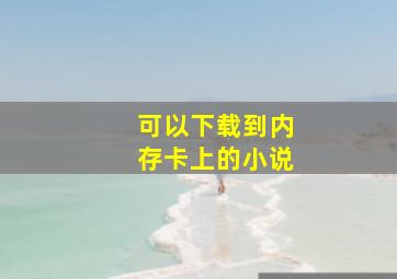 可以下载到内存卡上的小说