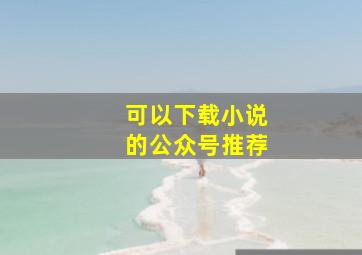 可以下载小说的公众号推荐