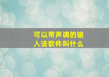 可以带声调的输入法软件叫什么