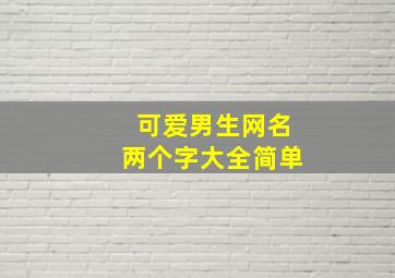 可爱男生网名两个字大全简单