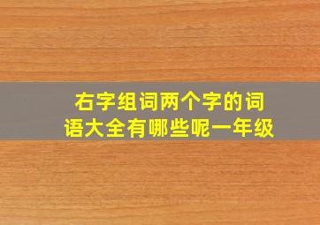 右字组词两个字的词语大全有哪些呢一年级