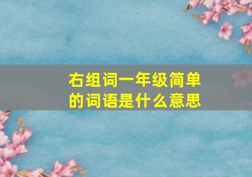 右组词一年级简单的词语是什么意思