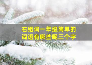 右组词一年级简单的词语有哪些呢三个字