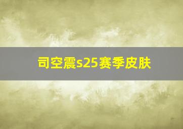 司空震s25赛季皮肤