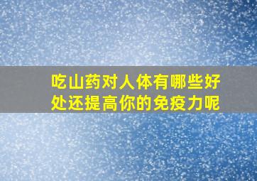 吃山药对人体有哪些好处还提高你的免疫力呢