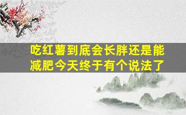 吃红薯到底会长胖还是能减肥今天终于有个说法了