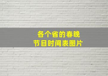 各个省的春晚节目时间表图片