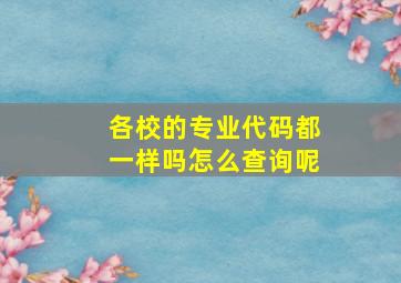 各校的专业代码都一样吗怎么查询呢