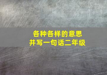 各种各样的意思并写一句话二年级