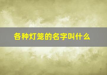 各种灯笼的名字叫什么