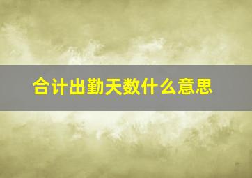 合计出勤天数什么意思