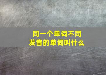 同一个单词不同发音的单词叫什么