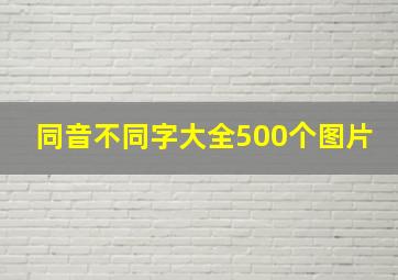 同音不同字大全500个图片