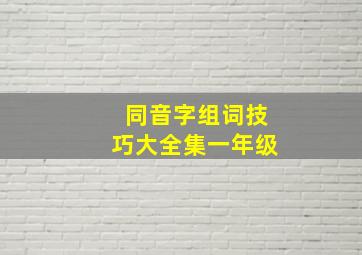 同音字组词技巧大全集一年级