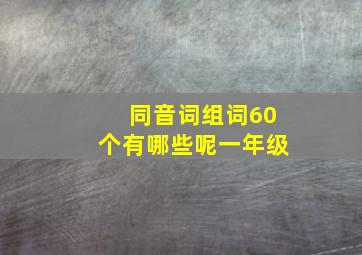 同音词组词60个有哪些呢一年级