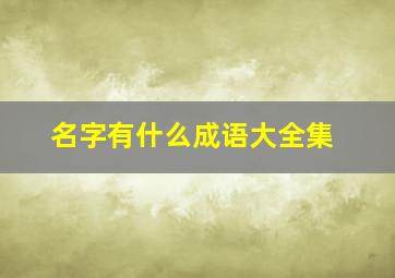 名字有什么成语大全集