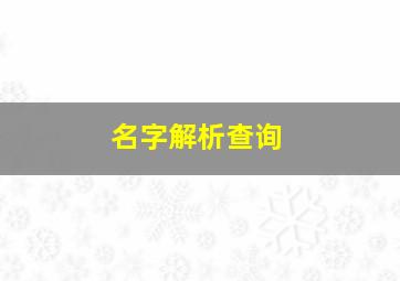 名字解析查询