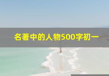 名著中的人物500字初一