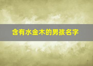 含有水金木的男孩名字