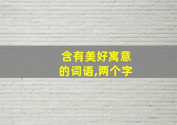 含有美好寓意的词语,两个字