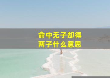 命中无子却得两子什么意思