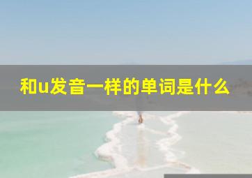 和u发音一样的单词是什么