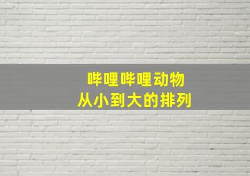 哔哩哔哩动物从小到大的排列