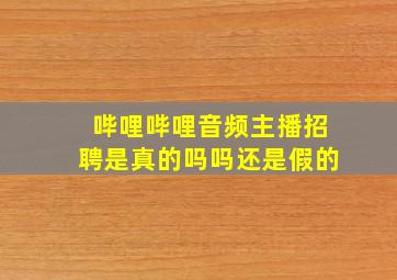 哔哩哔哩音频主播招聘是真的吗吗还是假的